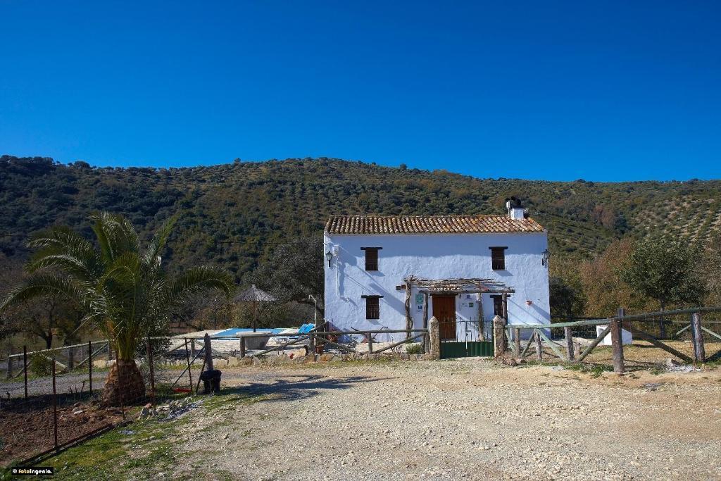 Hotel Enrique Calvillo El Bosque (Cadiz) Quarto foto