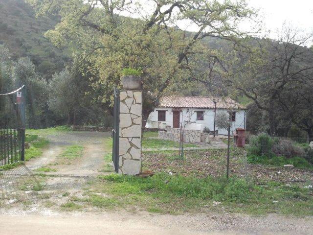 Hotel Enrique Calvillo El Bosque (Cadiz) Quarto foto